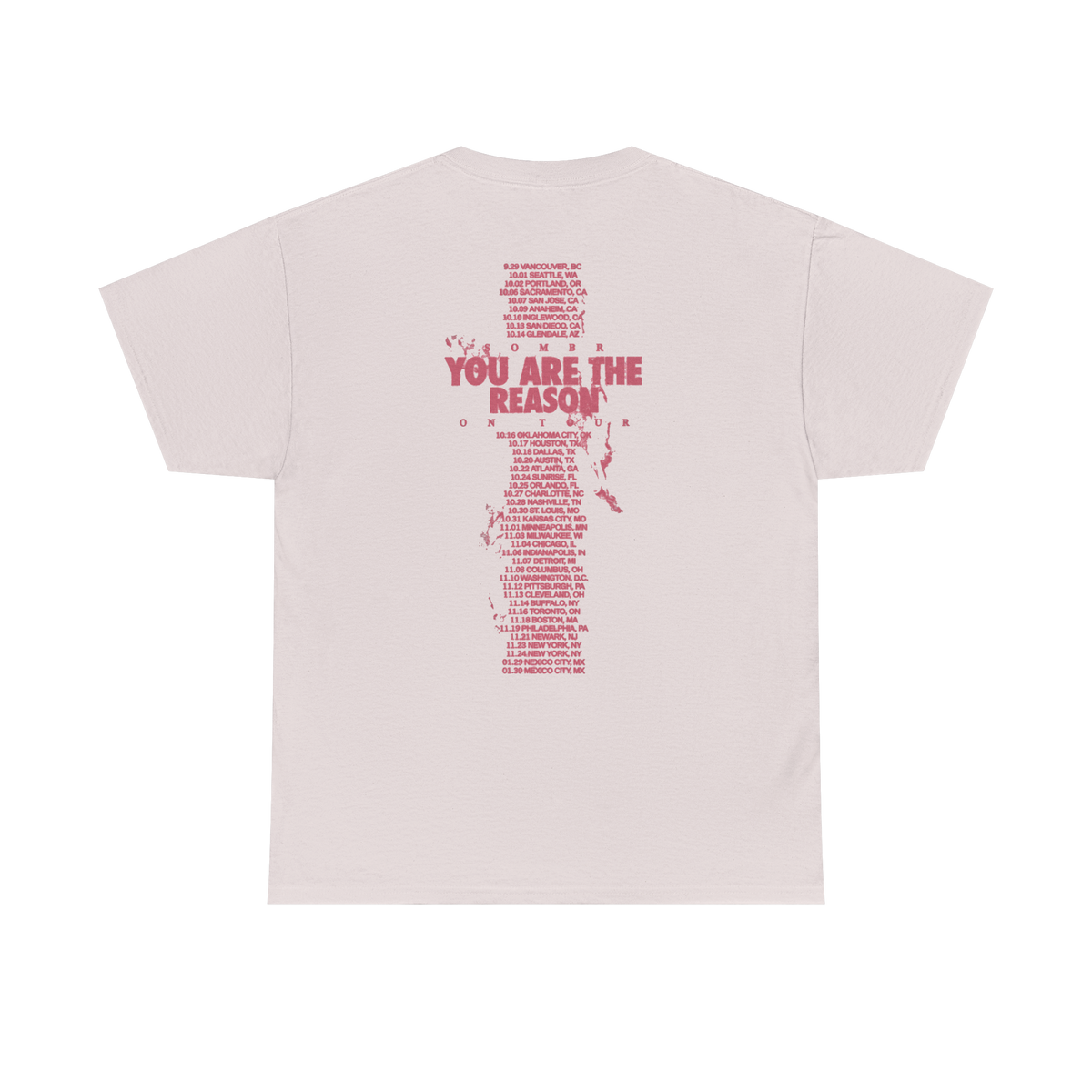 Sombr Tour Merch – You Are The Reason Tour Tee