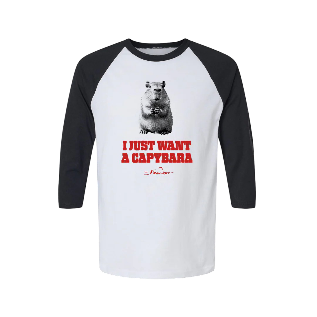 Sombr Tour Merch - I Just Want A Capybara Tee
