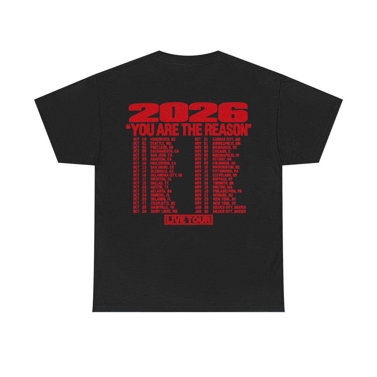 Sombr Tour Merch – Sombr Looking Down Photo Black Tee